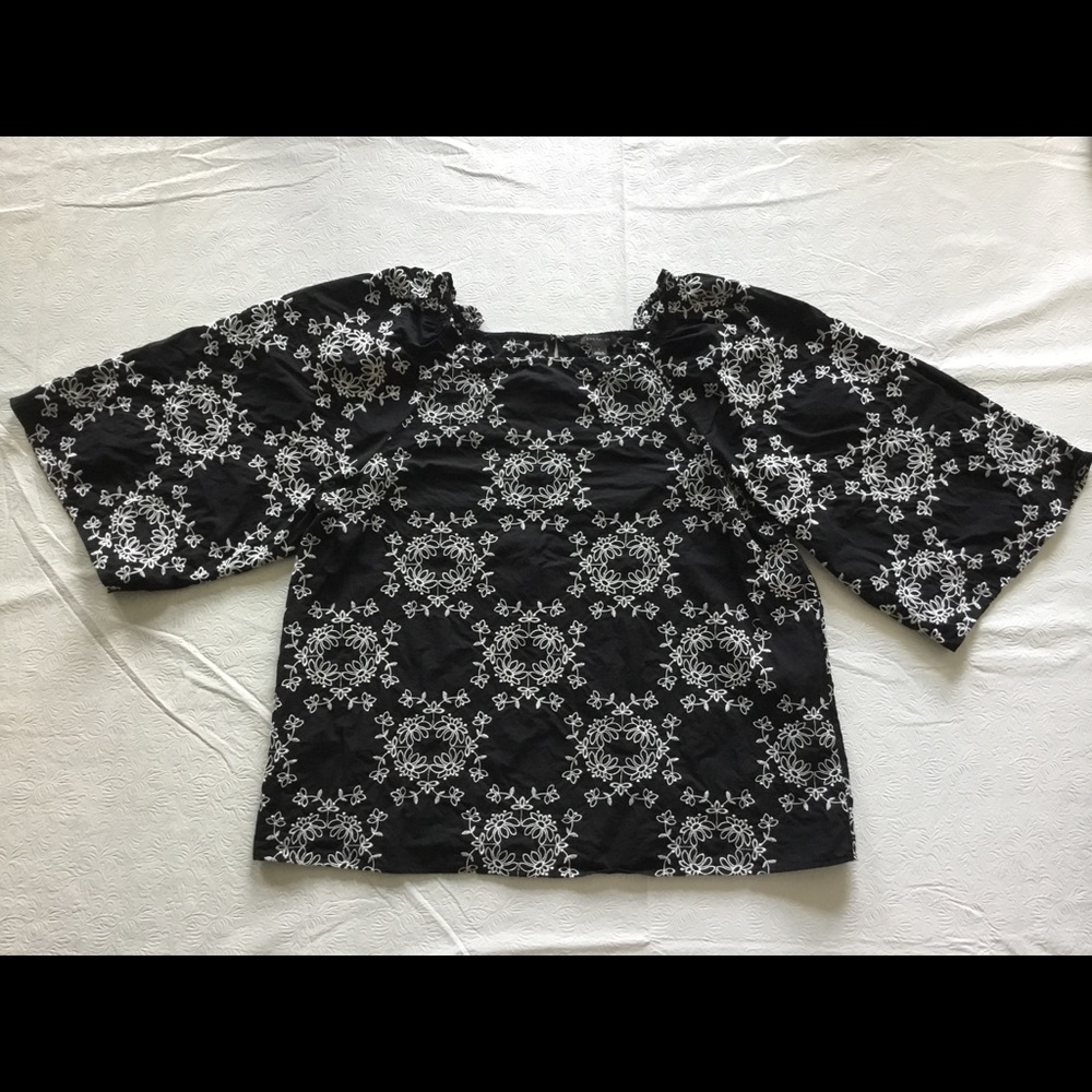 Ann Taylor cotton embroidered top